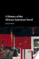 A History of the African American Novel