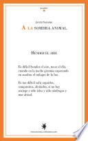 A la sombra animal