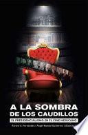 A la sombra de los caudillos. El presidencialismo en el cine mexicano