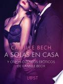 Libro 'A solas en Casa' y otros cuentos eróticos de Camille Bech
