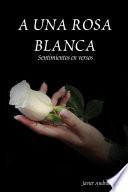 A UNA ROSA BLANCA