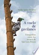A vuelo de gavilanes
