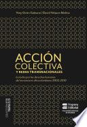 Acción colectiva y redes transnacionales