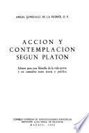 Acción y contemplación según Platón