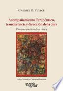 Acompañamiento terapéutico, transferencia y dirección de la cura