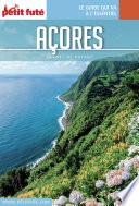 AÇORES 2017 Carnet Petit Futé