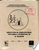 Agricultura en Zonas Afectadas Por Canicula Interestival en El Salvador