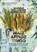 Ahorrar para crecer en la práctica: maíz, arroz, trigo