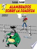 Alambrados sobre la pradera