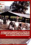 Alternitivas energeticas a partir de la caria de azucar como supplemento en la alimentacion de bovinos