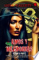 Amos y Mazmorras IV