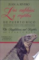 Amphibians and reptiles of Puerto Rico