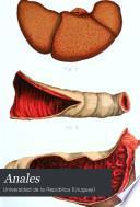 Anales