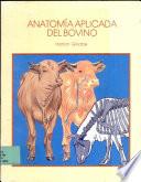 Anatomía aplicada del bovino