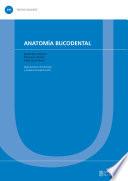 Anatomía bucodental
