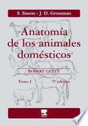 Anatomia de los animales domesticos t.1