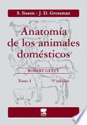 Anatomía de los animales domésticos. Tomo I