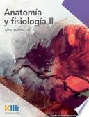 Anatomía y fisiología II