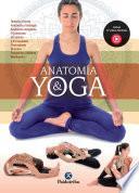 Anatomía & Yoga (Color)