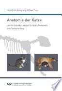 Anatomie der Katze und ihr Verhalten aus der Sicht des Anatomen, eine Textsammlung