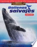 Animales asombrosos: Ballenas salvajes: Suma y resta (Amazing Animals: Wild Whales: Addition and Subtraction)