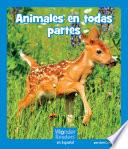 Animales en todas partes