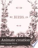 Animate Creation