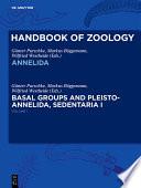 Annelida Basal Groups and Pleistoannelida, Sedentaria I