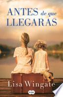 Antes de que llegaras / Before We Were Yours