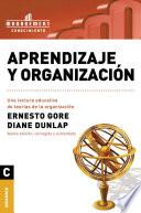 Aprendizaje y organización