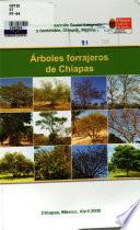 Arboles Forrajeros de Chiapas