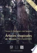 Arboles tropicales de México