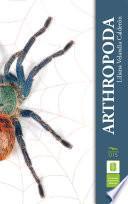 Arthropoda
