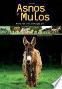 Asnos y mulos