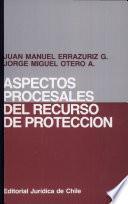 Aspectos procesales del recurso de protección