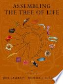 Assembling the Tree of Life
