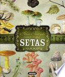 Atlas Ilustrado de Las Setas