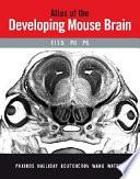 Atlas of the Developing Mouse Brain at E17.5, P0 and P6