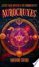Aurocruxes vs Horrocruxes