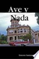 Ave y nada