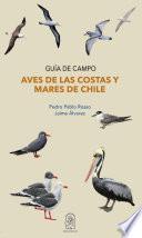 Aves de las costas y mares de Chile