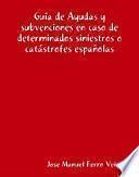 Ayudas y subvenciones en caso de determinados siniestros o catástrofes españolas