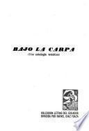 Bajo la carpa