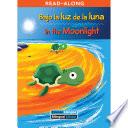 Bajo la luz de la luna/In the Moonlight