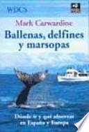 Ballenas, delfines y marsopas
