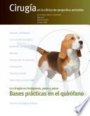 Bases prácticas en el quirófano. Cirugía en la clínica de pequeños animales