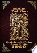 Biblia Del Oso