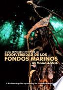 Biodiversity guide representing the seabeds of Magallanes