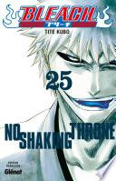 Bleach - Tome 25