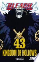 Bleach - Tome 43
